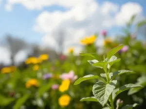 12 tydzień ciąży brzuch – jak wygląda i co warto wiedzieć?