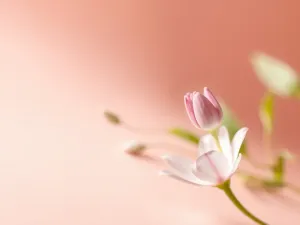 Krwawienie w 7 tygodniu ciąży – co oznacza i kiedy się martwić?