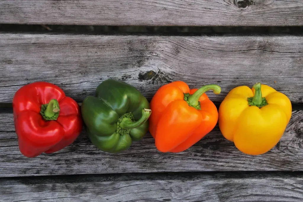 Dietetyk we Wrocławiu